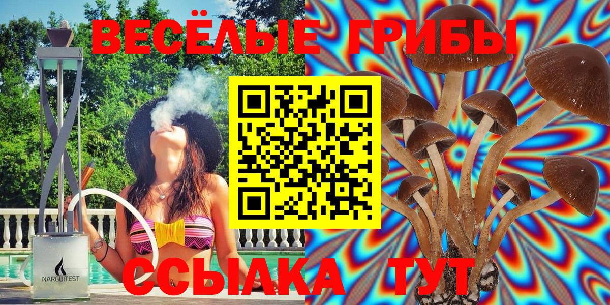 Благовещенск  хочу наркоту  Вход с VPN  Галлюциногенные грибы Psilocybe 